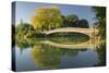 Bow Bridge, Central Park, Manhattan, New York-Rainer Mirau-Stretched Canvas