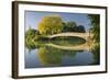 Bow Bridge, Central Park, Manhattan, New York-Rainer Mirau-Framed Photographic Print