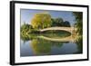 Bow Bridge, Central Park, Manhattan, New York-Rainer Mirau-Framed Photographic Print