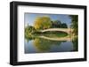 Bow Bridge, Central Park, Manhattan, New York-Rainer Mirau-Framed Photographic Print