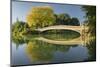 Bow Bridge, Central Park, Manhattan, New York-Rainer Mirau-Mounted Photographic Print