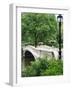 Bow Bridge, Central Park, Manhattan-Amanda Hall-Framed Photographic Print