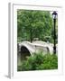 Bow Bridge, Central Park, Manhattan-Amanda Hall-Framed Photographic Print