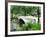 Bow Bridge, Central Park, Manhattan-Amanda Hall-Framed Photographic Print