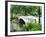 Bow Bridge, Central Park, Manhattan-Amanda Hall-Framed Photographic Print