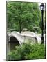 Bow Bridge, Central Park, Manhattan-Amanda Hall-Mounted Photographic Print