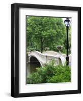 Bow Bridge, Central Park, Manhattan-Amanda Hall-Framed Premium Photographic Print