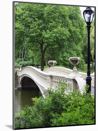 Bow Bridge, Central Park, Manhattan-Amanda Hall-Mounted Premium Photographic Print