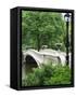 Bow Bridge, Central Park, Manhattan-Amanda Hall-Framed Stretched Canvas