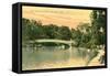 Bow Bridge, Central Park, New York City-null-Framed Stretched Canvas
