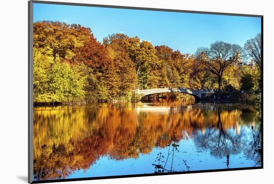 Bow Bridge Fall Scenic, Central Park, New York City-George Oze-Mounted Photographic Print