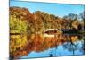 Bow Bridge Fall Scenic, Central Park, New York City-George Oze-Mounted Photographic Print