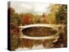 Bow Bridge Reflected-Jessica Jenney-Stretched Canvas