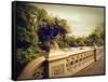 Bow Bridge View-Jessica Jenney-Framed Stretched Canvas