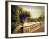 Bow Bridge View-Jessica Jenney-Framed Giclee Print