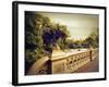 Bow Bridge View-Jessica Jenney-Framed Giclee Print