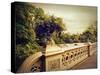 Bow Bridge View-Jessica Jenney-Stretched Canvas