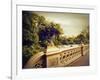 Bow Bridge View-Jessica Jenney-Framed Giclee Print