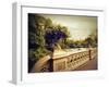 Bow Bridge View-Jessica Jenney-Framed Giclee Print