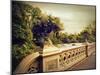 Bow Bridge View-Jessica Jenney-Mounted Giclee Print