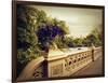 Bow Bridge View-Jessica Jenney-Framed Giclee Print