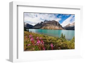 Bow Lake Scenic, Alberta, Canada-George Oze-Framed Photographic Print