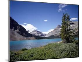 Bow Lake with Bow Glacier Behind, Icefields Parkway, Banff National Park, Alberta-Geoff Renner-Mounted Photographic Print