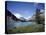 Bow Lake with Bow Glacier Behind, Icefields Parkway, Banff National Park, Alberta-Geoff Renner-Stretched Canvas