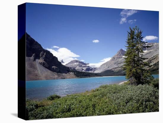 Bow Lake with Bow Glacier Behind, Icefields Parkway, Banff National Park, Alberta-Geoff Renner-Stretched Canvas