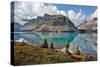 Bow Lake-Larry Malvin-Stretched Canvas