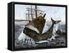 Bow of the Ship "Essex" Striking a Whale-null-Framed Stretched Canvas