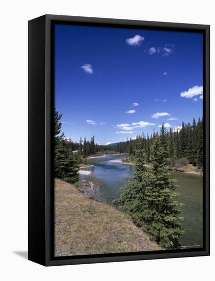 Bow River at Mount Temple Viewpoint on the Trans-Canada Highway, Banff National Park, Alberta-Pearl Bucknall-Framed Stretched Canvas