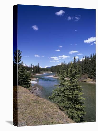 Bow River at Mount Temple Viewpoint on the Trans-Canada Highway, Banff National Park, Alberta-Pearl Bucknall-Stretched Canvas