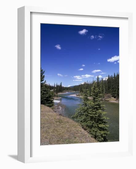 Bow River at Mount Temple Viewpoint on the Trans-Canada Highway, Banff National Park, Alberta-Pearl Bucknall-Framed Photographic Print