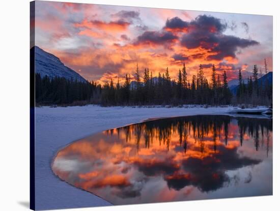 Bow River Bend-Michael Blanchette Photography-Stretched Canvas