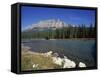 Bow River with Trees and Castle Mountain Beyond in the Banff National Park, Alberta, Canada-Hans Peter Merten-Framed Stretched Canvas