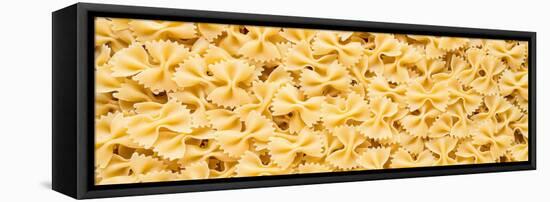 Bow Tie Pasta-Steve Gadomski-Framed Stretched Canvas