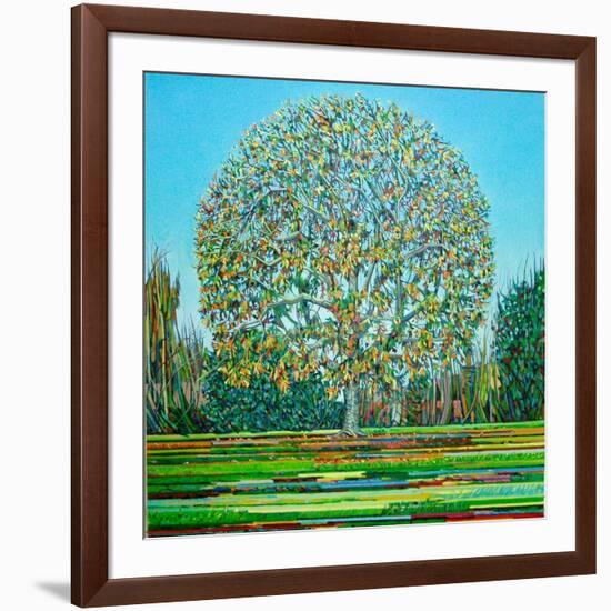 Bow Tree Autumn-Noel Paine-Framed Giclee Print