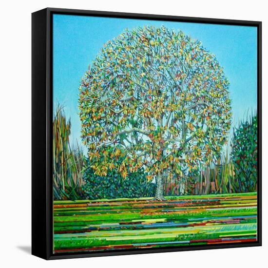 Bow Tree Autumn-Noel Paine-Framed Stretched Canvas