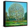 Bow Tree Autumn-Noel Paine-Framed Stretched Canvas