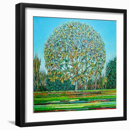 Bow Tree Autumn-Noel Paine-Framed Giclee Print