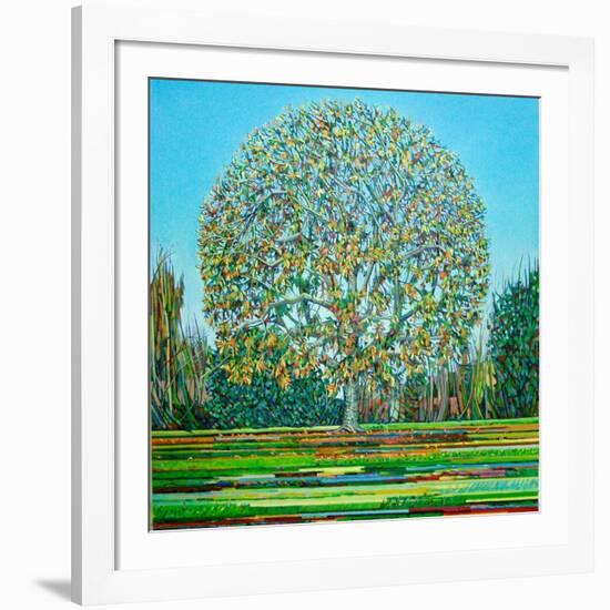 Bow Tree Autumn-Noel Paine-Framed Giclee Print