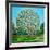 Bow Tree Autumn-Noel Paine-Framed Giclee Print