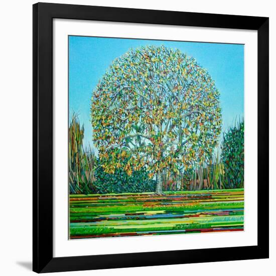 Bow Tree Autumn-Noel Paine-Framed Giclee Print