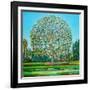 Bow Tree Autumn-Noel Paine-Framed Giclee Print