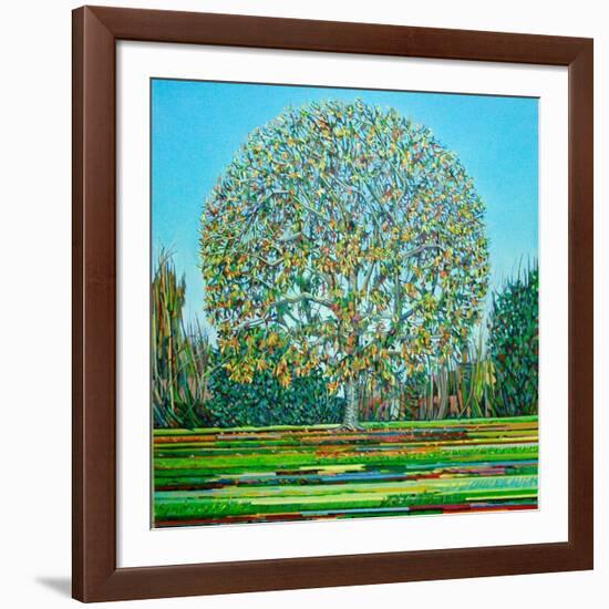 Bow Tree Autumn-Noel Paine-Framed Giclee Print