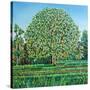 Bow Tree Spring-Noel Paine-Stretched Canvas