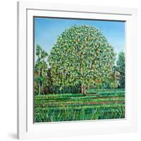 Bow Tree Spring-Noel Paine-Framed Giclee Print