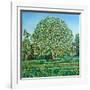 Bow Tree Spring-Noel Paine-Framed Giclee Print