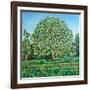 Bow Tree Spring-Noel Paine-Framed Giclee Print